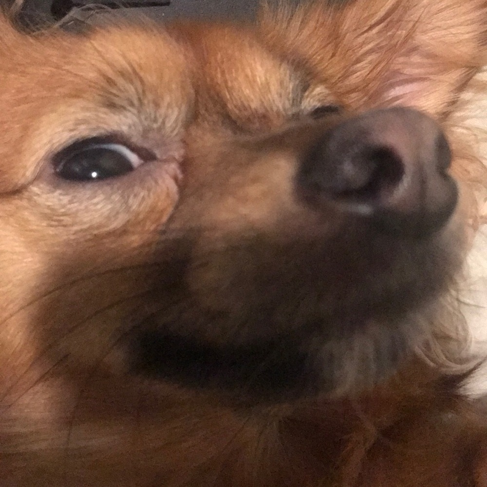 Meet your Posher, Tevin